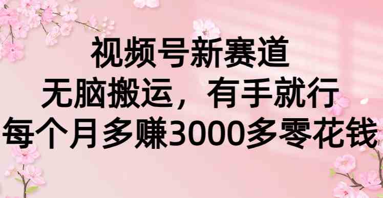 （9277期）视频号新赛道，无脑搬运，有手就行，每个月多赚3000多零花钱-财富区
