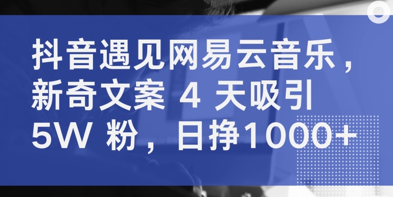 抖音遇见网易云音乐，新奇文案 4 天吸引 5W 粉，日挣1000+-财富区