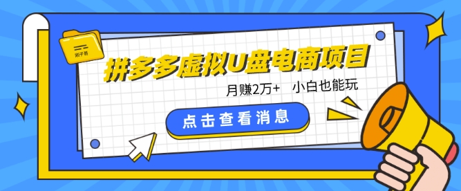 拼多多虚拟U盘电商红利项目：月赚2万+，新手小白也能玩-财富区