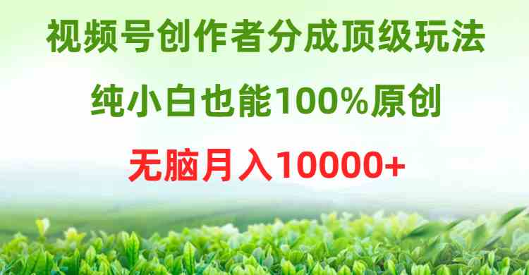 （9608期）视频号创作者分成顶级玩法，纯小白也能100%原创，无脑月入10000+-财富区