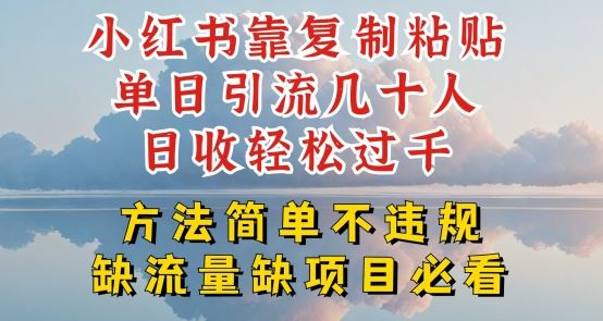 小红书靠复制粘贴单日引流几十人目收轻松过千，方法简单不违规【揭秘】-财富区