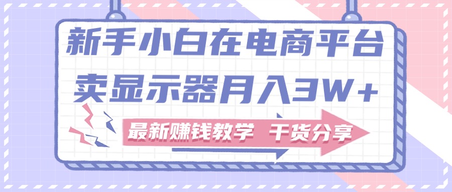 （11053期）新手小白如何做到在电商平台卖显示器月入3W+，最新赚钱教学干货分享-财富区