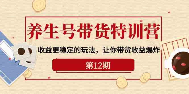 养生号带货特训营【12期】收益更稳定的玩法，让你带货收益爆炸（9节直播课）-财富区