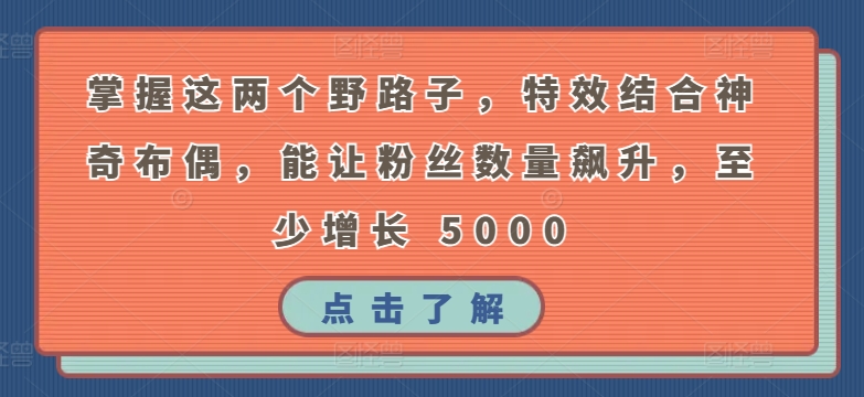 掌握这两个野路子，特效结合神奇布偶，能让粉丝数量飙升，至少增长 5000-财富区