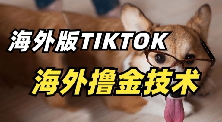 抖音海外版tiktok撸金技术，这个风口行业，赚钱真的不难-财富区