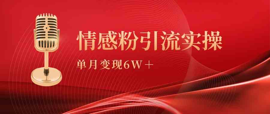 （9473期）单月变现6w+，情感粉引流变现实操课-财富区