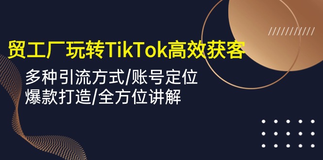 外贸工厂玩转TikTok高效获客，多种引流方式/账号定位/爆款打造/全方位讲解-财富区