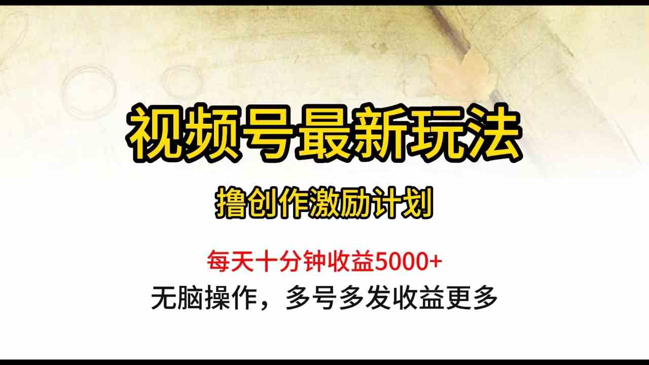 （10087期）视频号最新玩法，每日一小时月入5000+-财富区