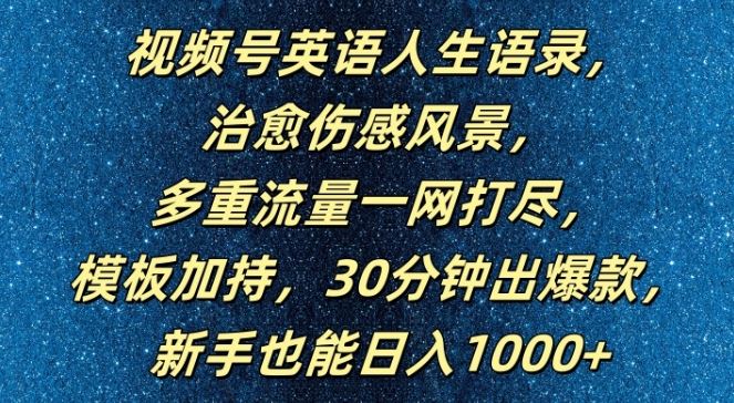 视频号英语人生语录，多重流量一网打尽，模板加持，30分钟出爆款，新手也能日入1000+【揭秘】-财富区