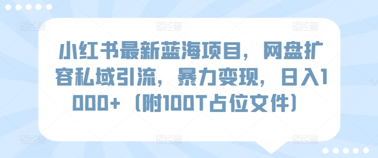 小红书最新蓝海项目，网盘扩容私域引流，暴力变现，日入1000+（附100T占位文件）-财富区