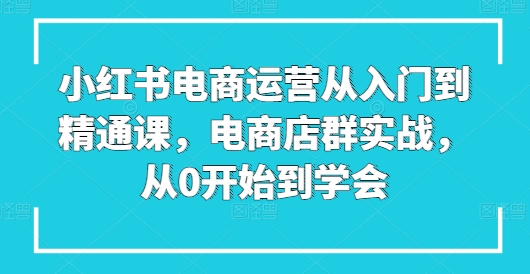 小红书电商运营从入门到精通课，电商店群实战，从0开始到学会-财富区