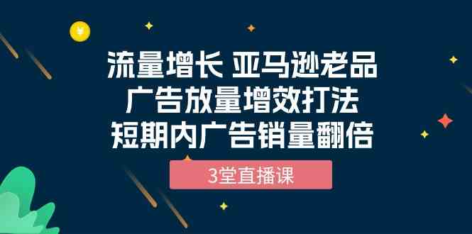 （10112期）流量增长 亚马逊老品广告放量增效打法，短期内广告销量翻倍（3堂直播课）-财富区