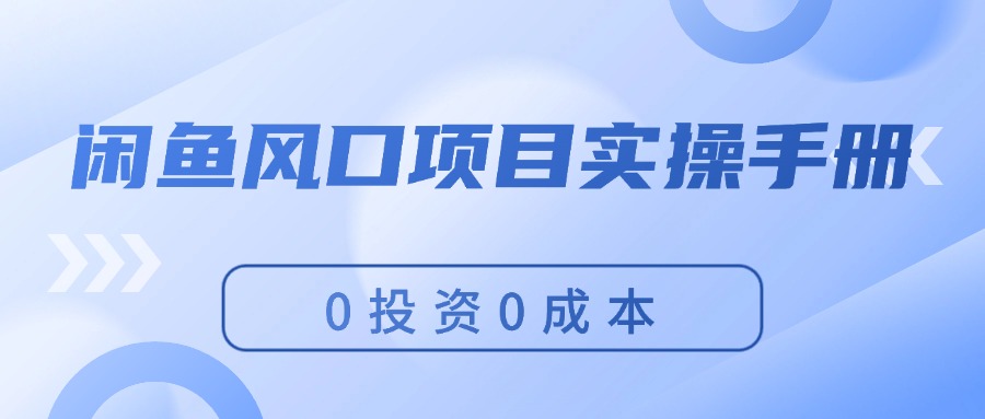 （11923期）闲鱼风口项目实操手册，0投资0成本，让你做到，月入过万，新手可做-财富区