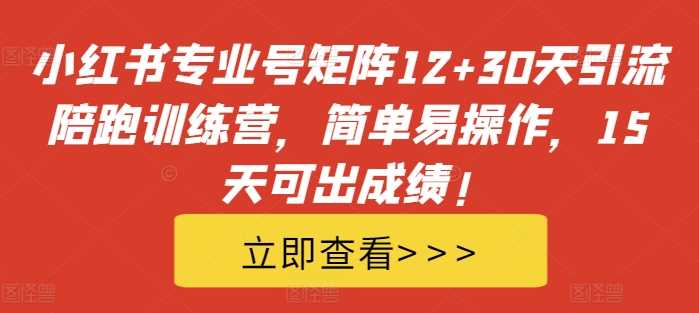 小红书专业号矩阵12+30天引流陪跑训练营，简单易操作，15天可出成绩!-财富区
