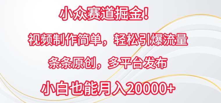 小众赛道掘金，视频制作简单，轻松引爆流量，条条原创，多平台发布-财富区