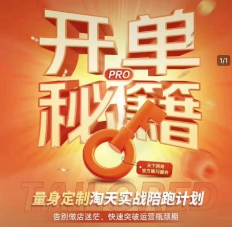 淘宝开单秘籍PRO，量身定制淘天实战陪跑计划，告别做店迷茫、快速突破运营瓶颈期(更新)-财富区
