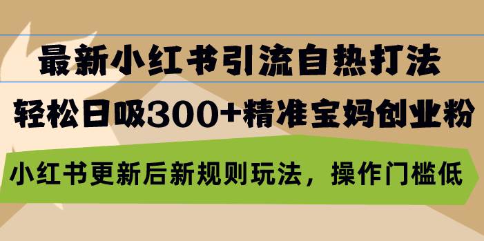 （13145期）最新小红书引流自热打法，轻松日吸300+精准宝妈创业粉，小红书更新后新…-财富区