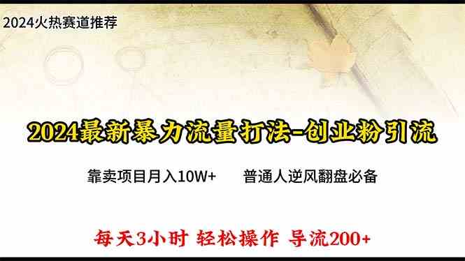 （10151期）2024年最新暴力流量打法，每日导入300+，靠卖项目月入10W+-财富区