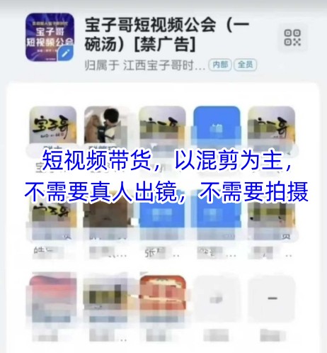 宝子哥头部团队短视频带货，以混剪为主，不需要真人出镜，不需要拍摄-财富区