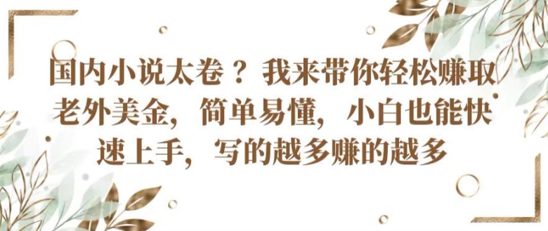 国内小说太卷 ?带你轻松赚取老外美金，简单易懂，小白也能快速上手，写的越多赚的越多-财富区