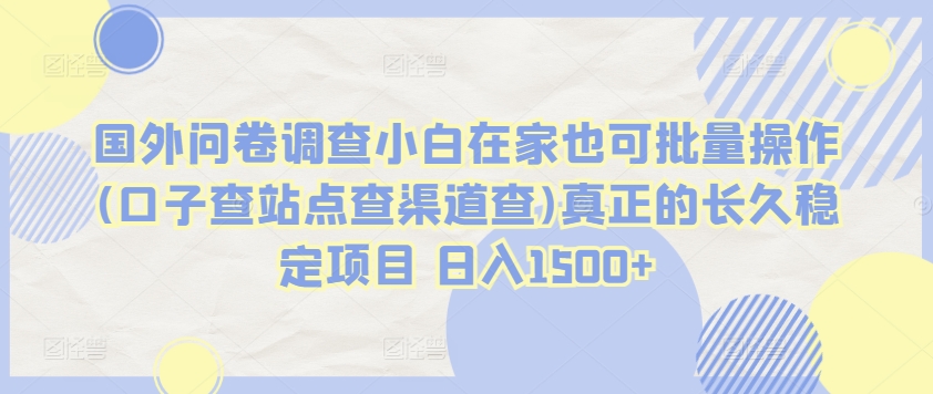 国外问卷调查小白在家也可批量操作(口子查站点查渠道查)真正的长久稳定项目 日入1500+-财富区