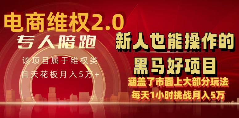 电商维权 4.0 如何做到月入 5 万+每天 1 小时新人也能快速上手【仅揭秘】-财富区