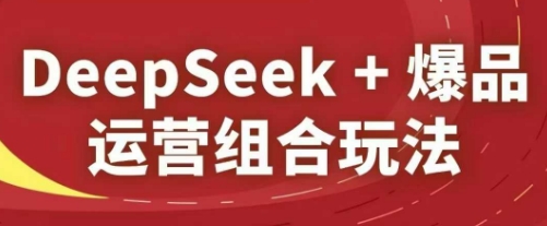 DeepSeek+爆品运营组合玩法，2025淘系精品课-财富区