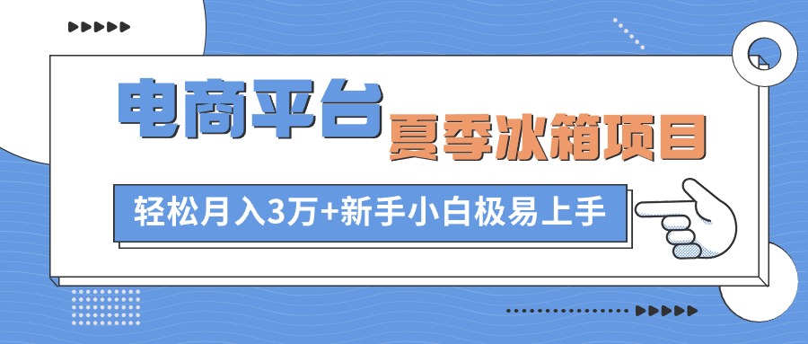 （10934期）电商平台夏季冰箱项目，轻松月入3万+，新手小白极易上手-财富区