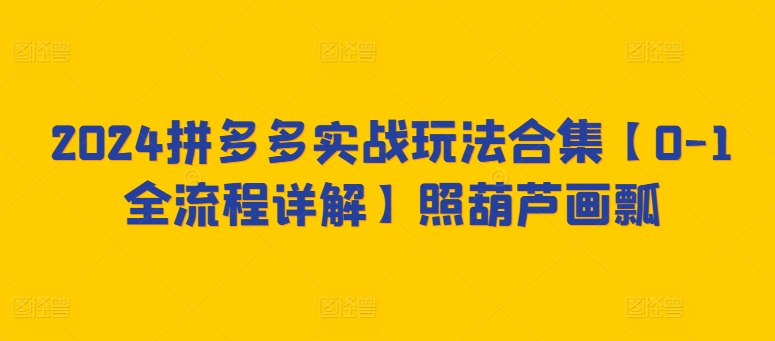 2024拼多多实战玩法合集【0-1全流程详解】照葫芦画瓢-财富区