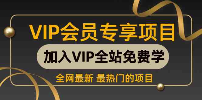 （9651期） 2024视频号最新撸收益技术，爆火赛道起号玩法，收益稳定，单日1000+-财富区