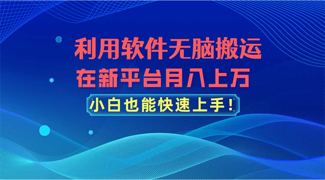 （11078期）利用软件无脑搬运，在新平台月入上万，小白也能快速上手-财富区