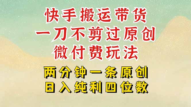 快手黑科技搬运带货，一刀不剪过原创，微付费投流玩法，轻松日入四位数…-财富区
