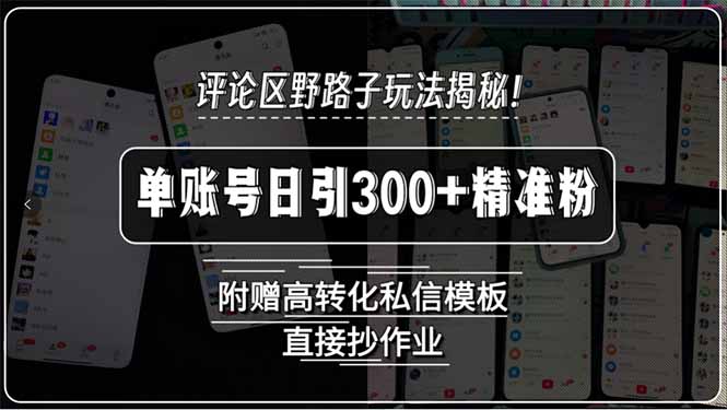 评论区野路子玩法揭秘！单账号日引300+精准粉，附赠高转化私信模板，直…-财富区