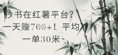 抄书在小红薯平台？平均一单30米，一天收益几张！-财富区