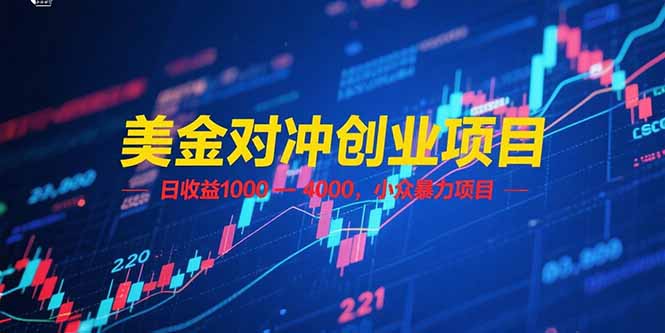 美金对冲创业项目，日收益 1000 – 4000，小众暴力项目-财富区