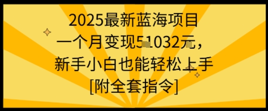 2025最新蓝海项目一个月变现1w+新手小白也能轻松上手【附全套指令】-财富区