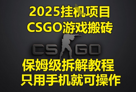 2025挂G项目，CSGO游戏搬砖，保姆级拆解教程，只用手机就可操作-财富区