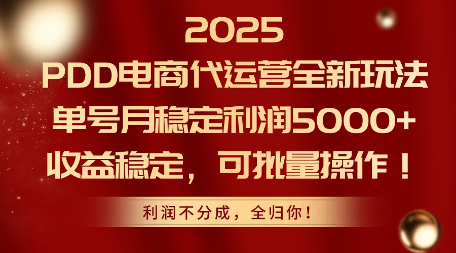 2025PDD电商代运营全新玩法，单号月稳定利润5000+，收益稳定，可批量操作-财富区