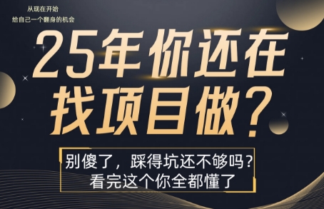 25年，你还在疯狂的找项目吗？别傻了，看完这个你都懂了-财富区