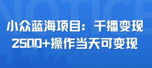 小众蓝海项目，千播变现2.5k+操作当天可变现-财富区