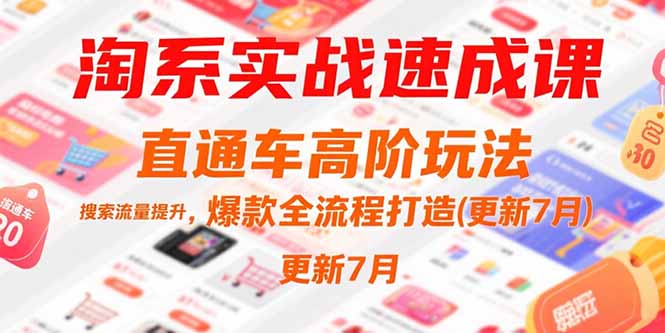 淘系实战速成课，直通车高阶玩法，搜索流量提升，爆款全流程打造(更新7月)-财富区