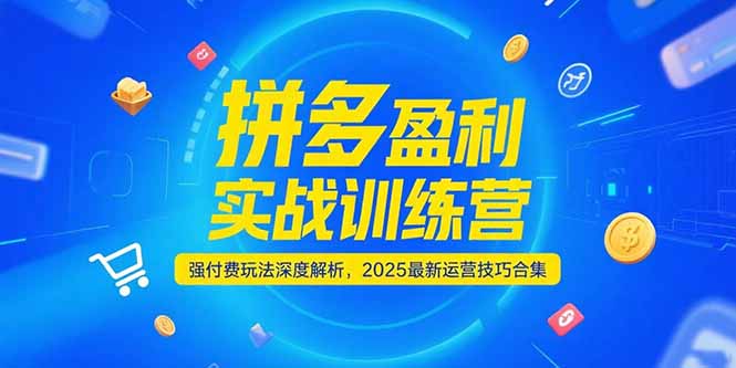 拼多多盈利实战训练营，强付费玩法深度解析，2025运营技巧合集-更新6月-财富区