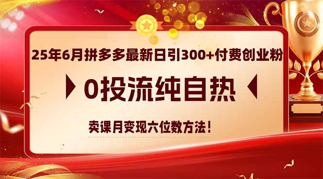 25年6月拼多多最新日引300+付费创业粉，0投流纯自热 卖课月变现六位数方法-财富区