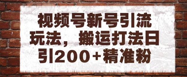 视频号新号引流玩法，搬运打法日引200+精准粉，可矩阵放大-财富区