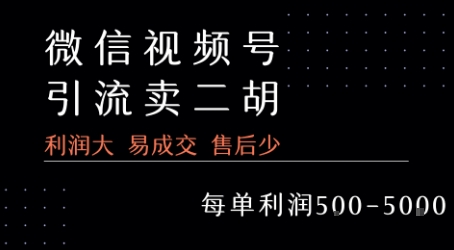 视频号卖二胡教程，利润大 易成交 售后少，一单利润5张+-财富区