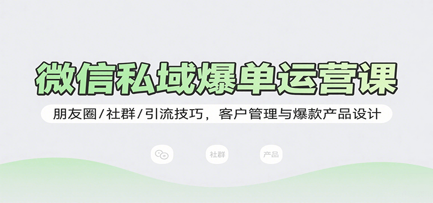 微信私域爆单运营课：朋友圈/社群/引流技巧，客户管理与爆款产品设计-财富区
