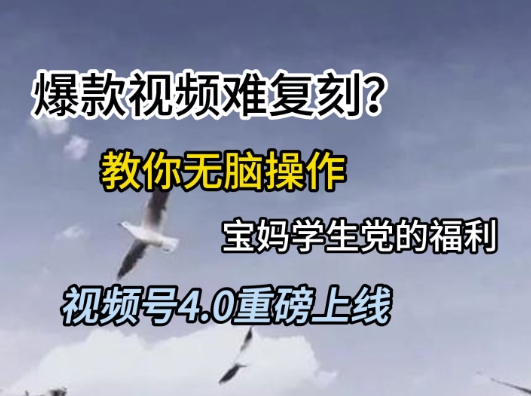 视频号4.0重磅上线，爆款视频难复刻？教你无脑操作宝妈学生党的福利-财富区