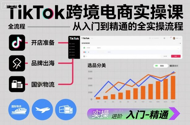 TikTok跨境电商实操课,从入门到精通的全实操流程-财富区