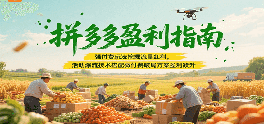 拼多多盈利指南：强付费玩法挖掘流量红利，活动爆流技术搭配微付费方案实现盈利跃升-财富区