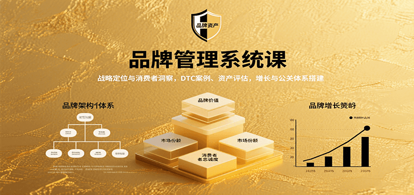 品牌管理系统课：战略定位与消费者洞察，DTC案例、资产评估，增长与公关体系搭建-财富区